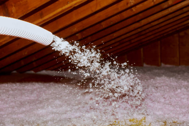 Insulation Repair Services in Big Lake, MN