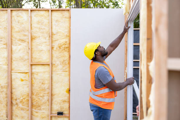 Best Insulation Replacement Services  in Big Lake, MN